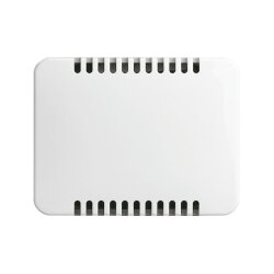 Busch-Jaeger 6541-24G Zentralscheibe