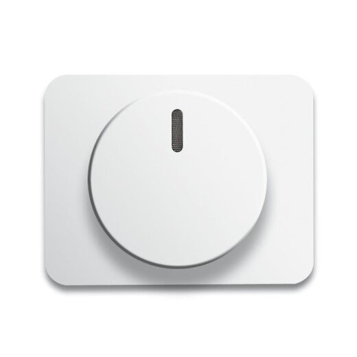 Busch-Jaeger 6540-24G alpha nea mit Drehknopf Zentralscheibe