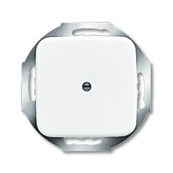 Busch-Jaeger 2527-214 Zentralscheibe