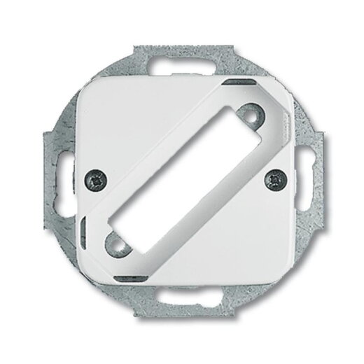 Busch-Jaeger 2549-214 Zentralscheibe