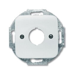 Busch-Jaeger 2534-214 Zentralscheibe