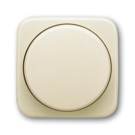 Busch-Jaeger 2115-212 Zentralscheibe