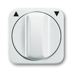 Busch-Jaeger 2542 DR-214 Zentralscheibe