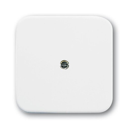 Busch-Jaeger 2536-214 Zentralscheibe