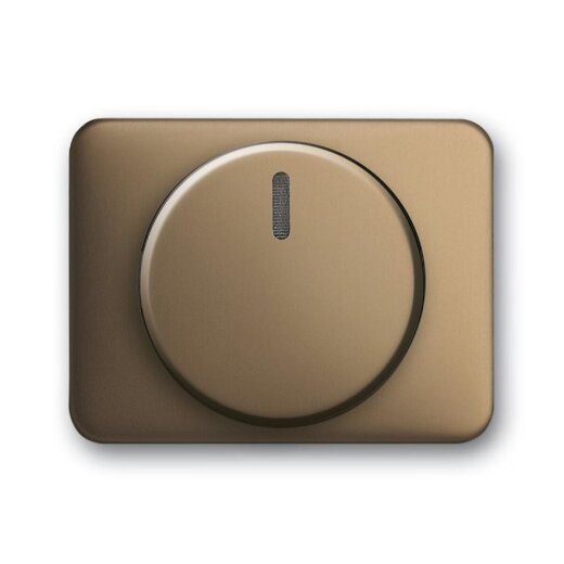 Busch-Jaeger 6540-21 Zentralscheibe