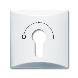 Busch-Jaeger 2155 SLPZ-32 AW44 Zentralscheibe