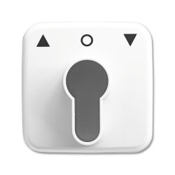 Busch-Jaeger 2557 PZ-214-101 Zentralscheibe