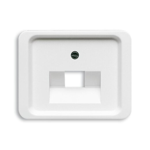 Busch-Jaeger 1803-24G alpha nea Zentralscheibe