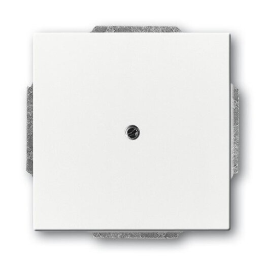 Busch-Jaeger 1742-84 Zentralscheibe