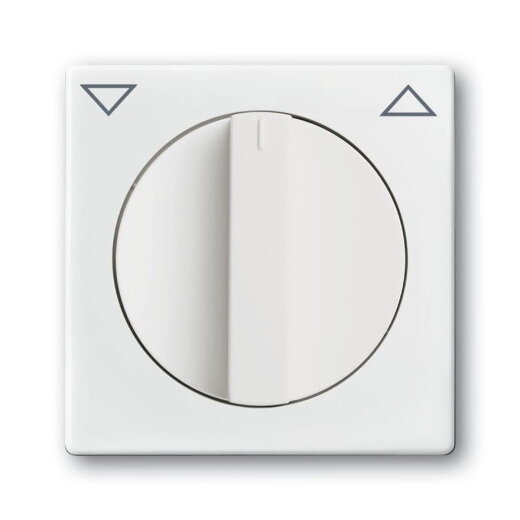 Busch-Jaeger 1740-84 Zentralscheibe