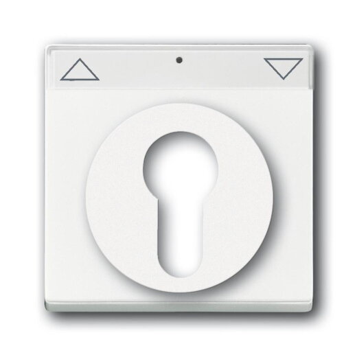 Busch-Jaeger 1755 SL/PZ-84-101 Zentralscheibe