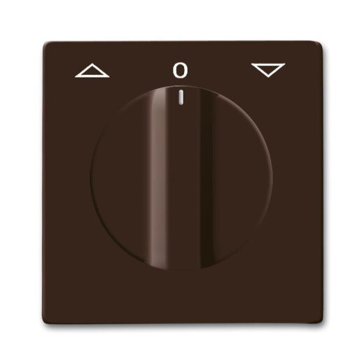 Busch-Jaeger 2142 DR-31 AW44 Zentralscheibe