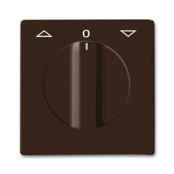 Busch-Jaeger 2142 DR-31 AW44 Zentralscheibe