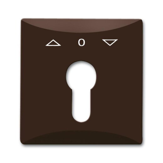 Busch-Jaeger 2155 PZ-31 AW44 Zentralscheibe