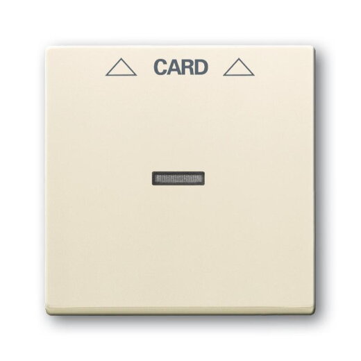 Busch-Jaeger 1792-82 Zentralscheibe