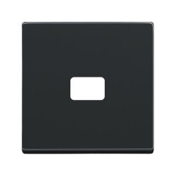 Busch-Jaeger 1720-81 Zentralscheibe