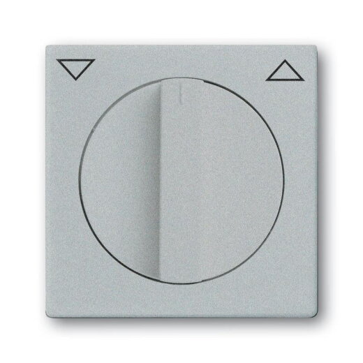 Busch-Jaeger 1740-83 Zentralscheibe