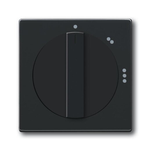 Busch-Jaeger 2542 DR/02-81 Zentralscheibe