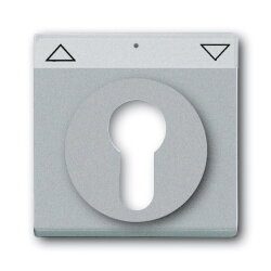 Busch-Jaeger 1755 SL/PZ-83-101 Zentralscheibe