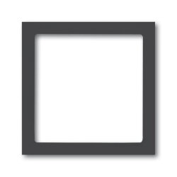 Busch-Jaeger 1716-81 Zentralscheibe