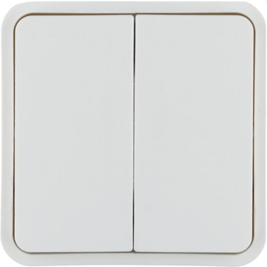 Berker Wippe 2fach polarweiss 30553542