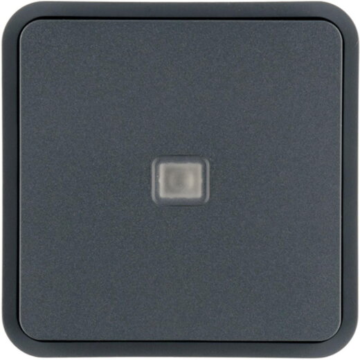 Berker Wippe 1fach mit einer Linse grau 30863545