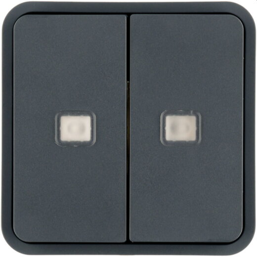 Berker Wippe 2fach mit zwei Linsen grau 30863555