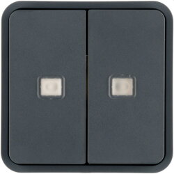 Berker Wippe 2fach mit zwei Linsen grau 30863555