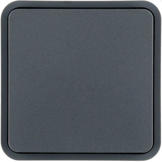 Berker Wippe 1fach grau 6130763545