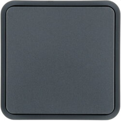 Berker Wippe 1fach grau 6130763545