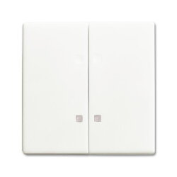 Busch-Jaeger Wippe 1785 K-884