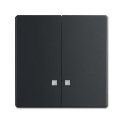 Busch-Jaeger Wippe 1785 K-885