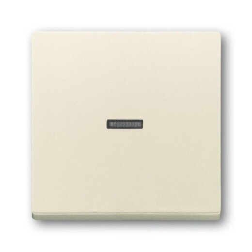 Busch-Jaeger Wippe 1789 N-82 Kalotte transparent