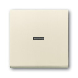 Busch-Jaeger Wippe 1789 N-82 Kalotte transparent