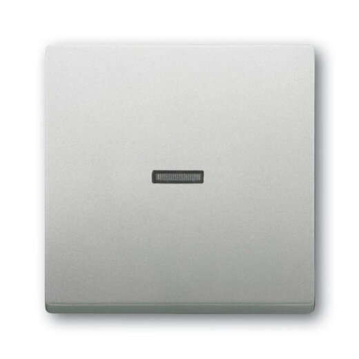 Busch-Jaeger Wippe 1789 N-866 Kalotte transparent