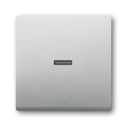 Busch-Jaeger Wippe 1789 N-866 Kalotte transparent