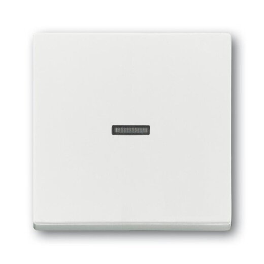 Busch-Jaeger Wippe 1789 N-884 Kalotte transparent