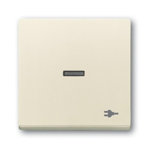 Busch-Jaeger Wippe 1789 ST-82 Kalotte transp. Sym. Stecker