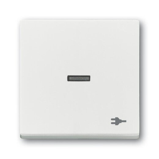 Busch-Jaeger Wippe 1789 ST-884 Kalotte transp. Sym. Stecker