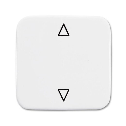 Busch-Jaeger Wippe 2506 JA/02-214