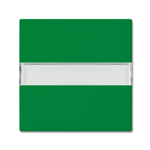 Busch-Jaeger Wippe 2510 NLI-13-914 Beschriftungsfeld grün