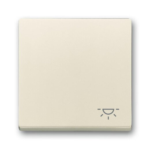 Busch-Jaeger Wippe 2520 LI-82 Symbol Licht