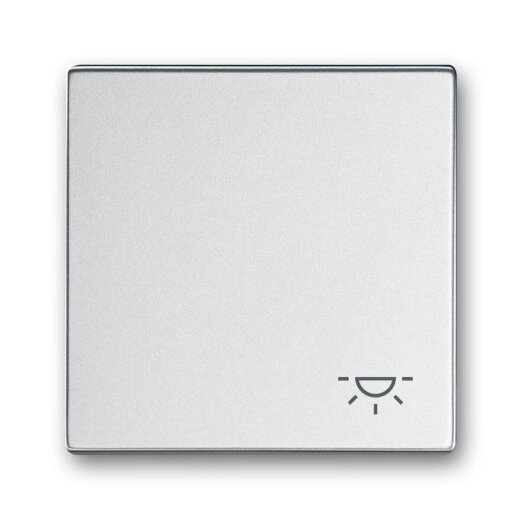 Busch-Jaeger Wippe 2520 LI-83 Symbol Licht