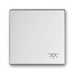 Busch-Jaeger Wippe 2520 LI-83 Symbol Licht