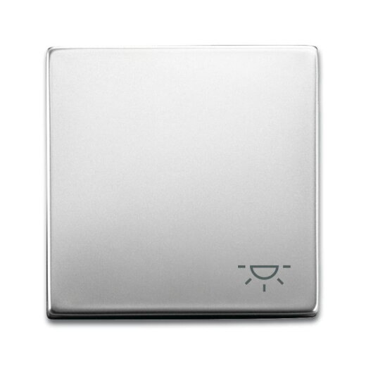 Busch-Jaeger Wippe 2520 LI-866 Symbol Licht