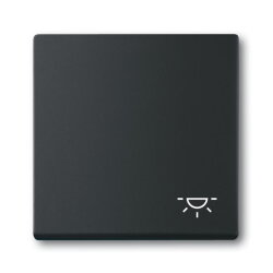 Busch-Jaeger Wippe 2520 LI-885 Symbol Licht