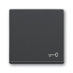 Busch-Jaeger Wippe 2520 TR-81 Symbol Schlüssel