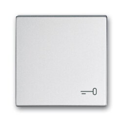 Busch-Jaeger Wippe 2520 TR-83 Symbol Schlüssel