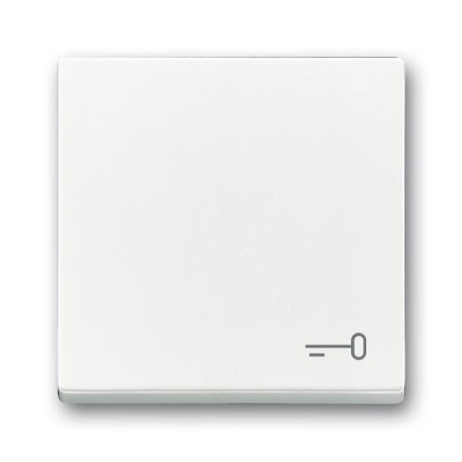 Busch-Jaeger Wippe 2520 TR-84 Symbol Schlüssel