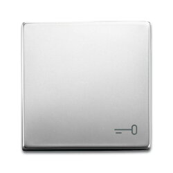 Busch-Jaeger Wippe 2520 TR-866 Symbol Schlüssel